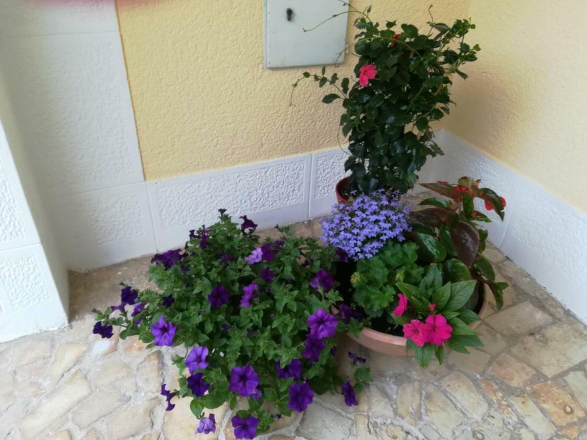 Apartment Lili Porec Exterior photo